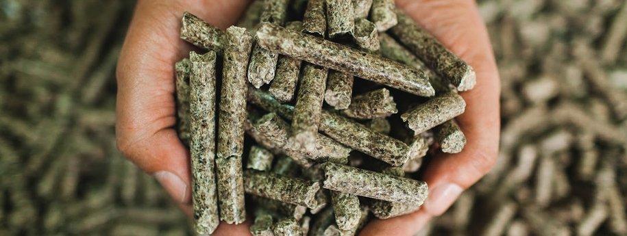 Вінницький жом йде на експорт