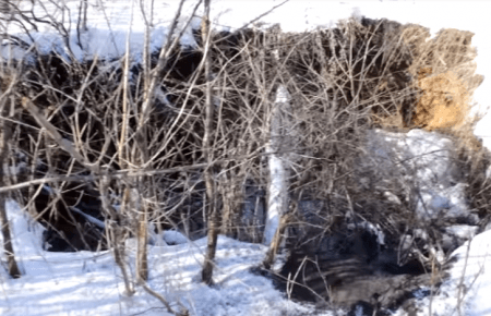 В селі з обмеженим доступом в «сірій зоні» провалилася земля (ВІДЕО)