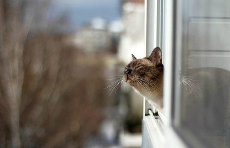 Сніг в Україні зійде до 15 березня, — директор гідрометцентру