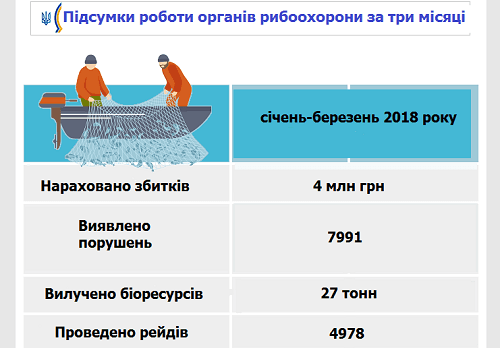 З початку року через незаконний вилов риби держава отримала 4 млн грн збитків