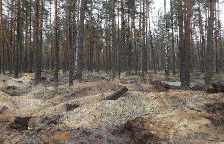 На Волині поменшало випадків незаконного видобутку бурштину, - поліція