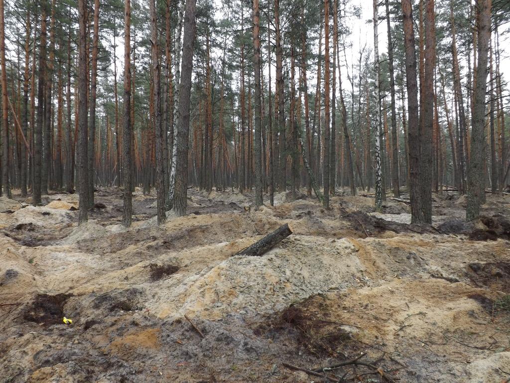 На Волині поменшало випадків незаконного видобутку бурштину, - поліція