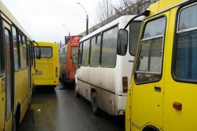 Такої кількості «лайна» на дорогах, як у Запоріжжі, я не бачила в жодному місті, - екологиня