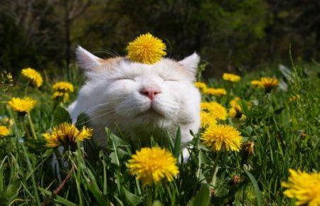 Якою буде погода на травневі вихідні?