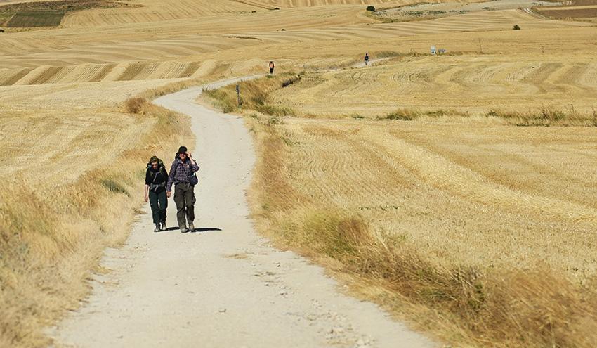 Паломництво у ХХІ столітті: навіщо письменниця Дзвінка Матіаш пройшла пішки 900 км Дорогою Святого Якова?