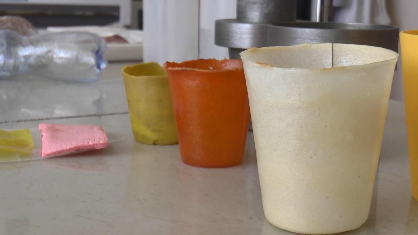 Як молоді науковці з Сум винайшли еко-посуд