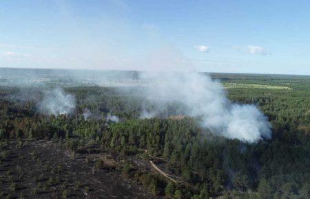 Пожежа у Чорнобилі спалахнула на території, яка не належить до заповідної зони, - директор заповідника