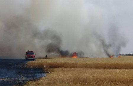 Пожежа знищила 4,5 гектарів пшениці в Миколаївській області