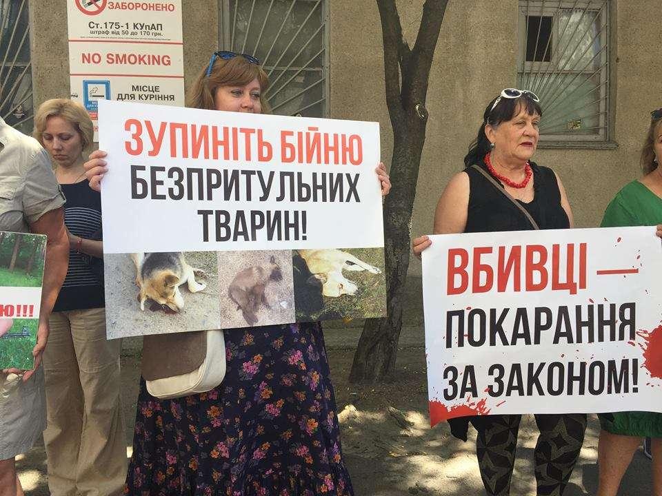 Адвокат догхантера Святогора оголосив відвід новопризначеній судді