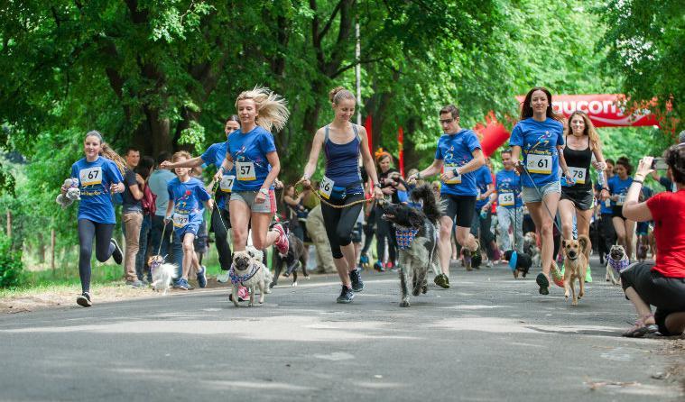 У Києві планують встановити рекорд наймасовішого забігу з собаками (ФОТО)