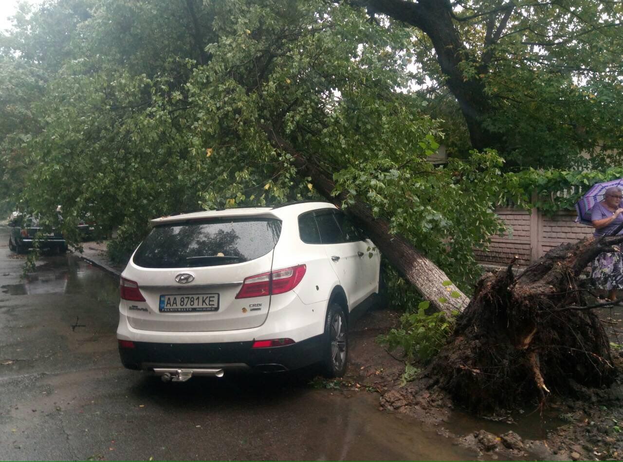 У Києві рятувальники ліквідовують наслідки негоди (ФОТО)