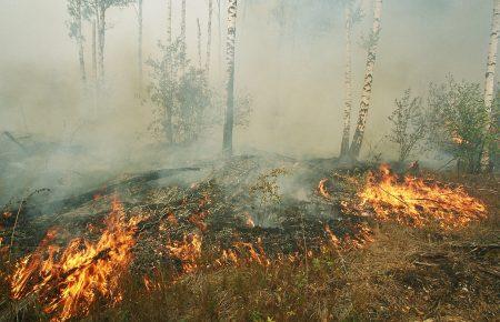 Рятувальники попереджають про надзвичайну пожежну небезпеку