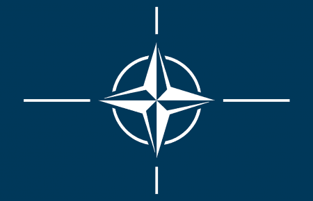 НАТО створить 30 батальйонів й 30 ескадрилей, які розгортатимуться за 30 днів, - журналіст