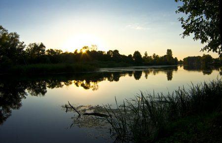 Чому цвітуть річки та як очистити і захистити водойми?