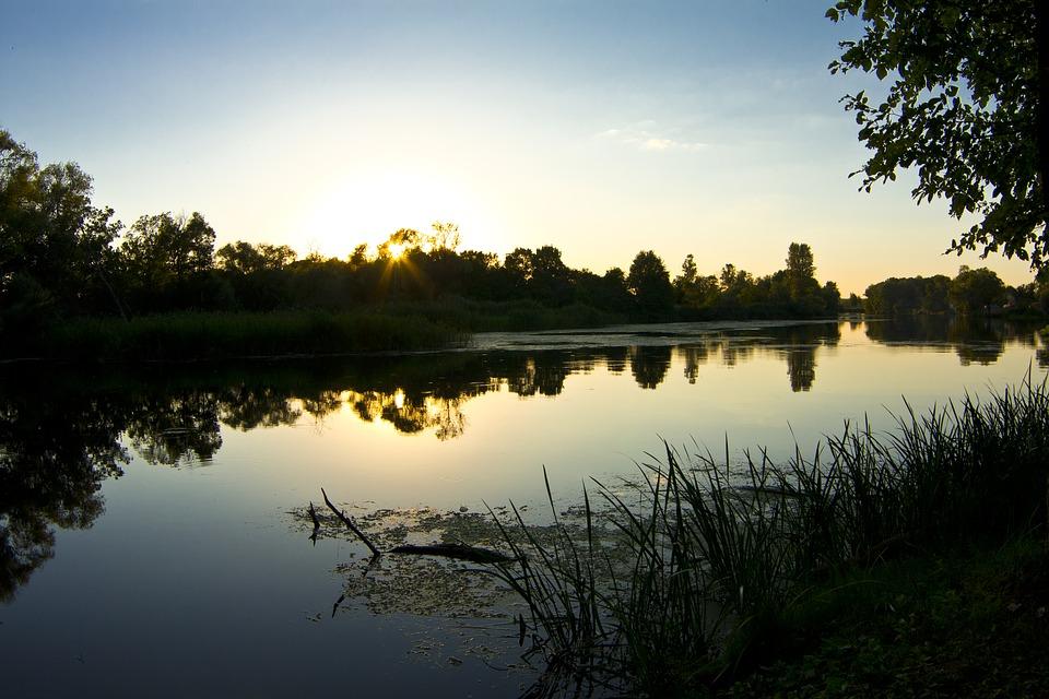 Чому цвітуть річки та як очистити і захистити водойми?