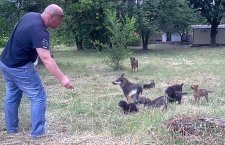 Догхантер Святогор вільно ходив містом з дозволу слідчого (ФОТО, ВІДЕО)