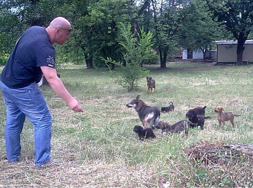 Догхантер Святогор вільно ходив містом з дозволу слідчого (ФОТО, ВІДЕО)