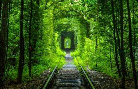 Чому і коли в’їзд до «Тунелю кохання» у Клевані можуть зробити платним?