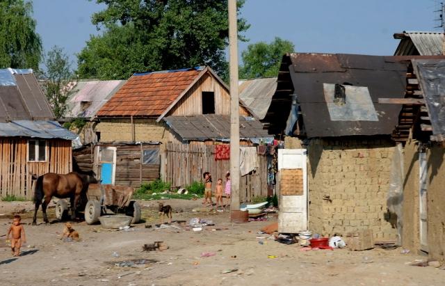 Поки немає доказів того, що вбивство ромки у Береговому сталося на расовому підґрунті, - депутат