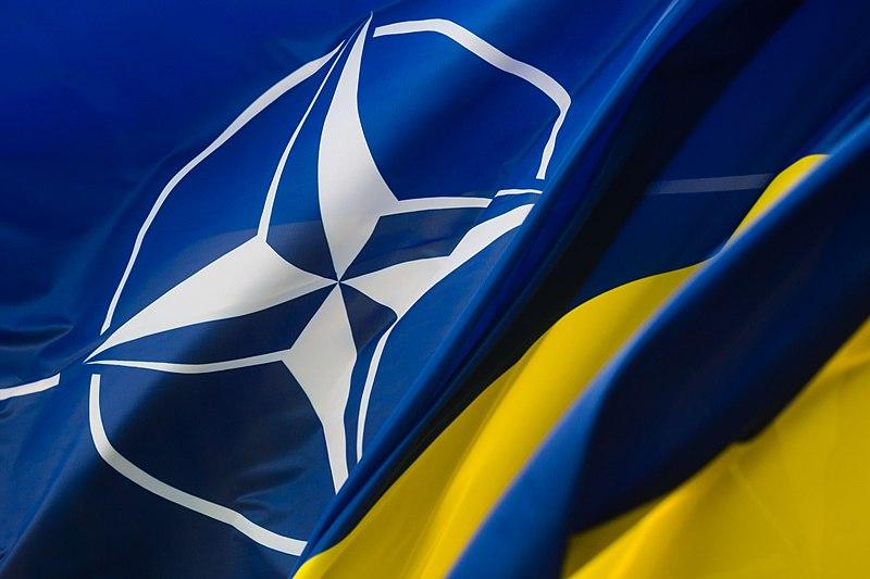 Україна матиме свій власний шлях до вступу в НАТО — Пентагон