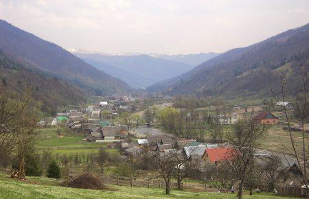 Мацур, кут, мачка, куцур - як кота називають на Закарпатті