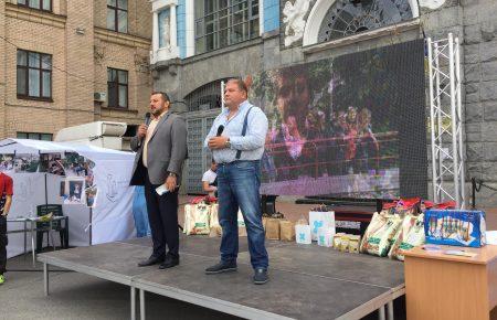 Звідки у Києві беруться безпритульні собаки та як з цим боротися?