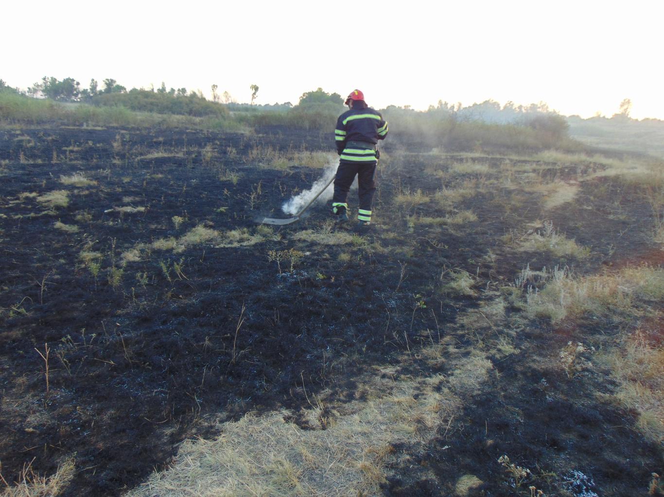 Пожежі на Луганщині: трава та відходи від руди горять на 24 га землі (ФОТО)