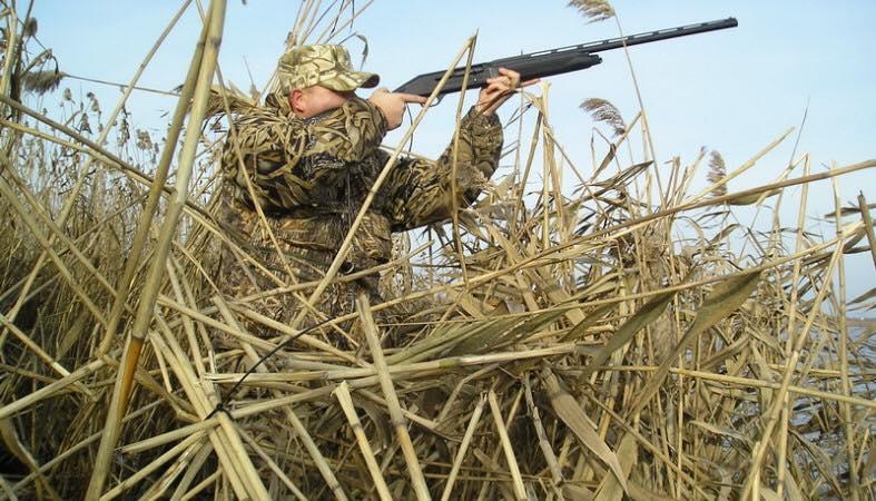 На Луганщині вперше за чотири роки дозволили полювати на птахів
