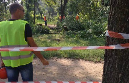 У Запоріжжі спилюють дерева в парку, який активісти захищають від забудови (ВІДЕО)