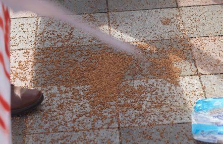 Мітинг за нову виборчу систему: парламент закидали гречкою