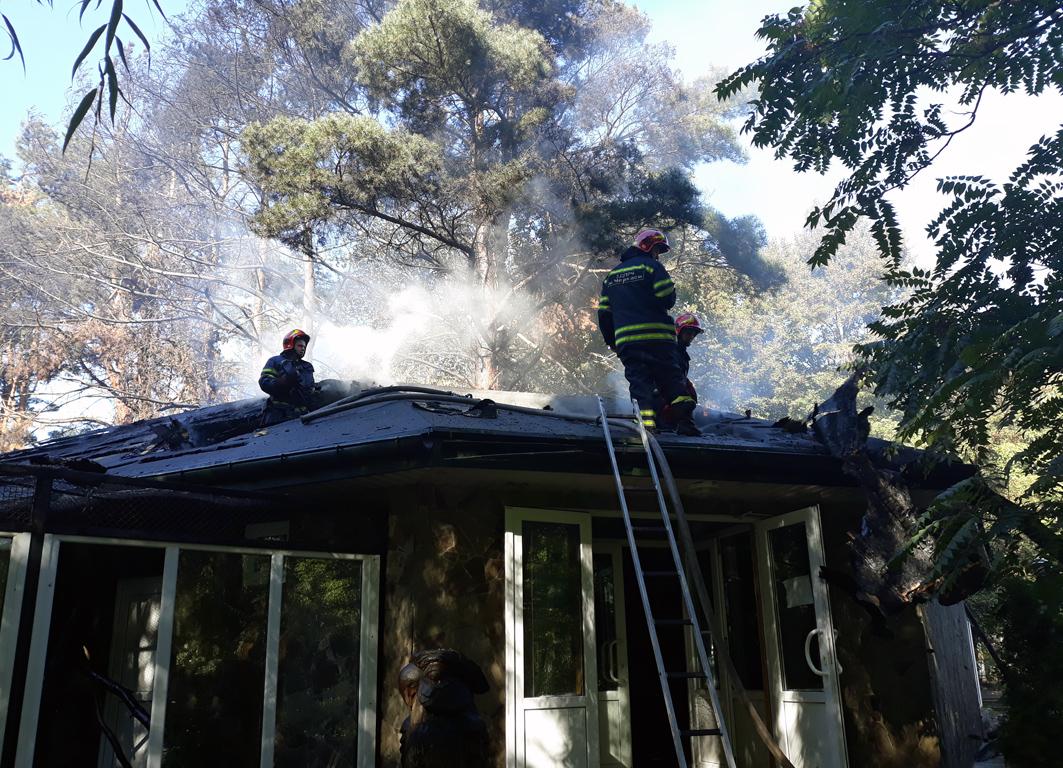 У Черкасах горів зоопарк: частину птахів довелося випустити (ФОТО, ВІДЕО)