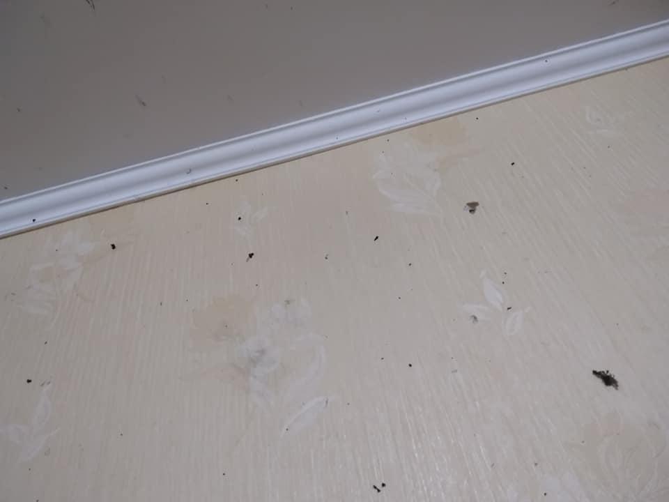 Вибух у квартирі координатора «С14»: поліція відкрила кримінальне провадження за замахом на вбивство