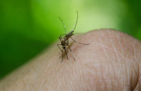 У Харківській області зареєстрували восьмий за рік випадок малярії