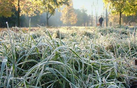 В Україну йдуть перші заморозки — синоптикиня