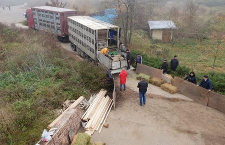 Овець, що два тижні стояли у порту, привезли на ферму в Одесі