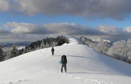 У горах на Львівщині знайшли заблукалих туристів: один загинув