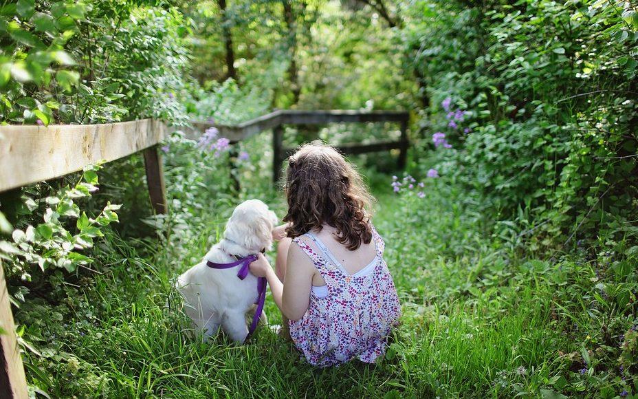Що таке каністерапія, та як собака може стати лікарем