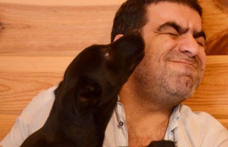 Що треба знати, беручи собаку з притулку? Пояснює Ельшан Мехтієв