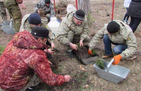 На Чернігівщині висадили Алею воїнів АТО