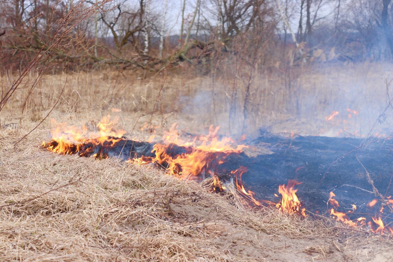 На Львівщині вихідними сталося 64 загоряння сухої трави. Рятувальники виявили двох паліїв (фото)