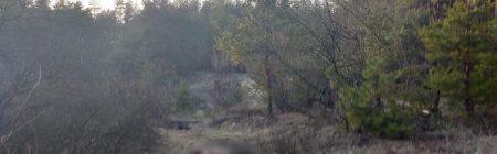 Вбивство військового на Харківщині: поліція затримала підозрюваних