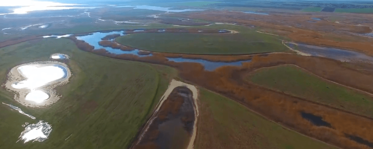 У Дунайському біосферному заповіднику знесуть 10 гребель (відео)