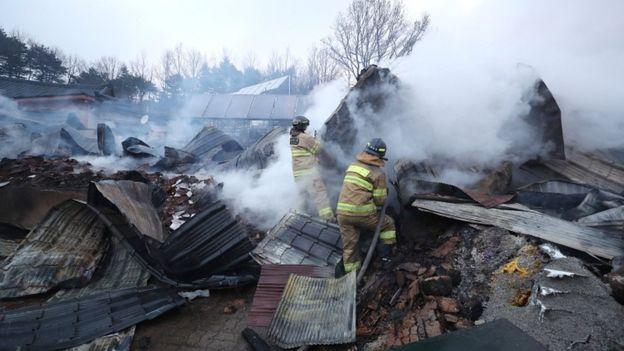 Лісові пожежі у Південній Кореї: евакуювали понад 4 тисячі людей