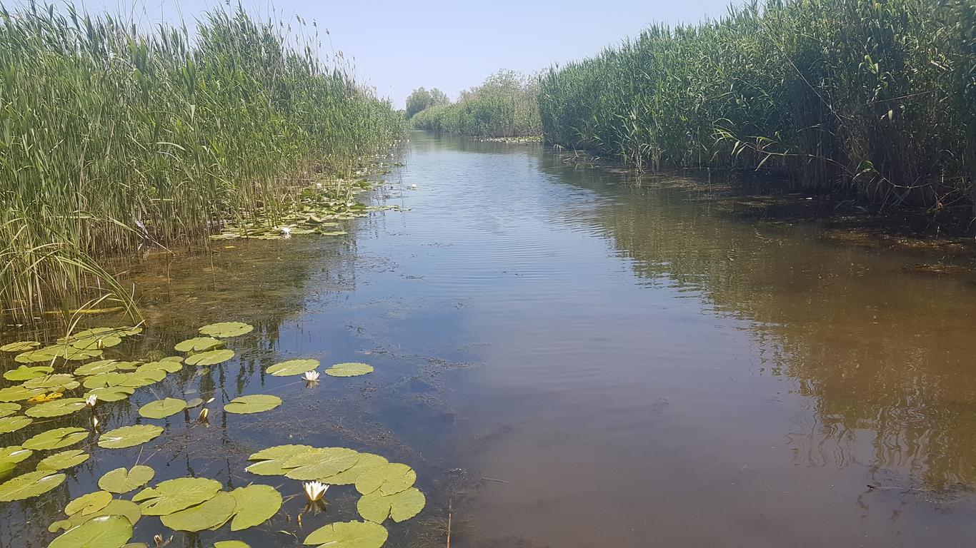 Обнулити мозок на нульовому кілометрі, скуштувати найсмачнішу уху і повалятись в маковому полі — це все можливо на Бессарабії