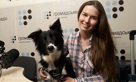 Як підібрати іграшки для собаки?