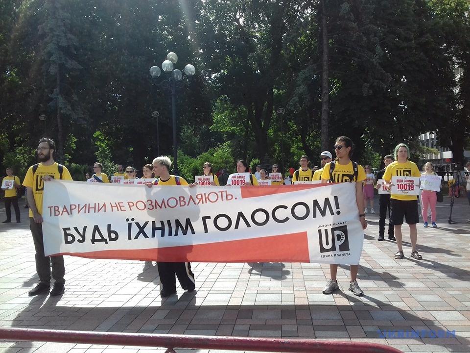 Під Адміністрацією президента мітингують проти виробництва хутра в Україні