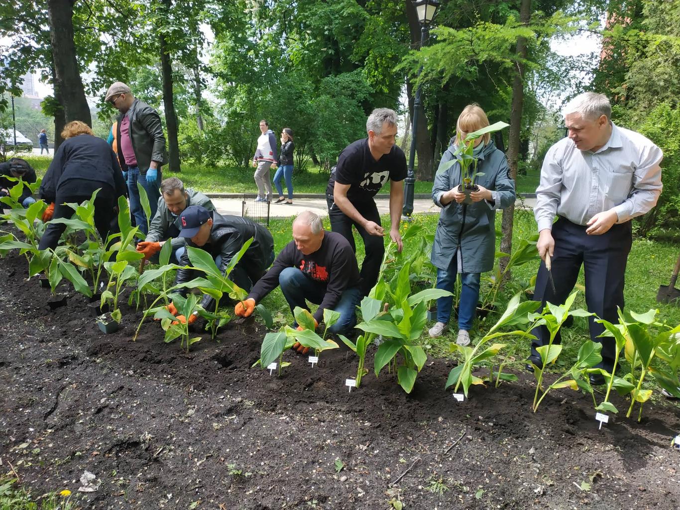 Роковини затримання Сенцова: у Києві висадили квіти на честь українських політв'язнів