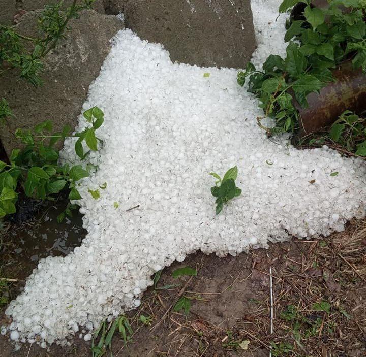 На Житомирщині пронісся торнадо та випав град (фото, відео)