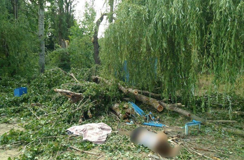 На базі відпочинку у Харківській області впало дерево — одна людина загинула, двоє в реанімації