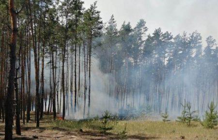 На Дніпропетровщині сталася лісова пожежа